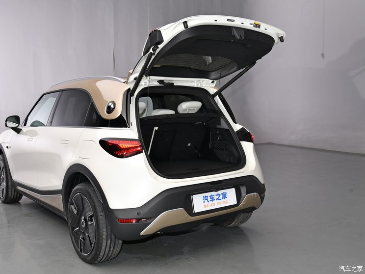 smart smart精灵#1 2024款 铂金版 smart smart精灵#1 2024款 铂金版