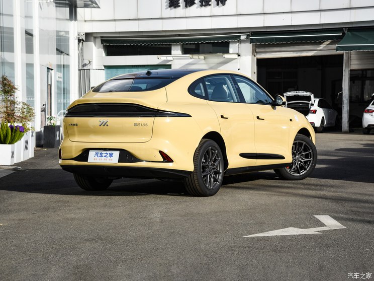 智己汽车 智己LS6 2023款 Max 标准版